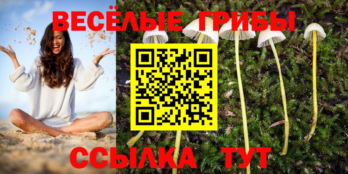 Псилоцибиновые грибы мицелий  Вход с VPN  Верхняя Пышма 